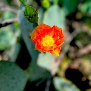 Meet your Posher, Jen